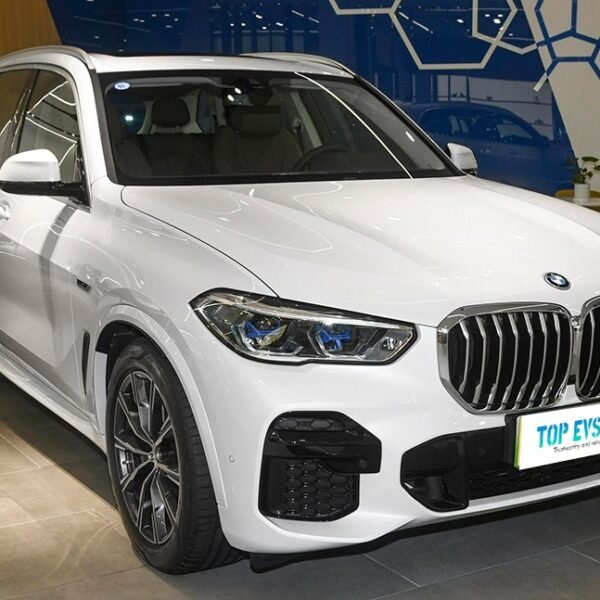 BMW X5 PHEV– Buy Direct From China | Affordable Chinese Car UK